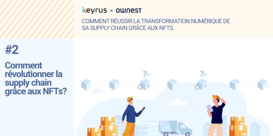 Ownest Keyrus Article 2